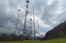 Charming Towns in the Coffee Cultural Landscape