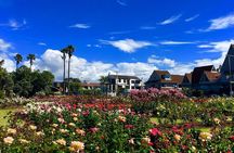  3.5 hour Sunset Tour on Waiheke Island