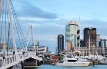  3.5 hour Sunset Tour on Waiheke Island