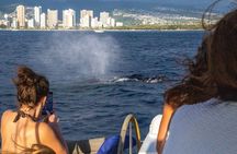 2hr Luxury Private Sailing Catamaran in Waikiki for 1-6 People
