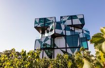 Shared Wine Taste Experience The Dead Arm Distinction