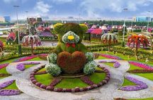 Dubai Miracle Garden with Private Transfers