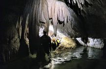 Sea Caving Cova Coloms No Transport 
