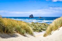 Castle, Coast & City Small Group Tour (8 pax max)