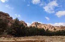 Private Guided Tour in Petra with licensed guide