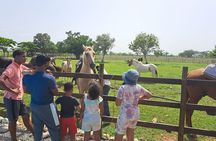 2-Hour Horseback Riding Tour at Sunset from Punta Cana