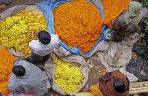 Half Day Tour to the Flower Market and Howrah Bridge in Kolkata