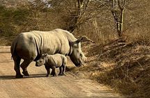 4 Days Masai mara and Lake Nakuru Safari from Nairobi