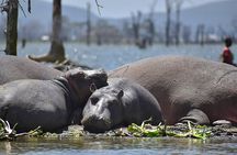 Hell's Gate National Park and Lake Naivasha Private Tour