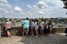 Luxembourg Guided Walking Tour in the city