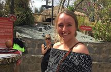 Full Private Tour of the Historic Center + Middle of the World