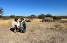 Matobo Rhino Encounter 