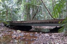 Port Macquarie Scenic Tour to the Hastings Hinterland region