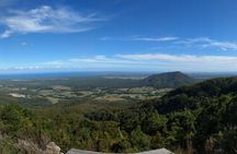 Port Macquarie Scenic Tour to the Hastings Hinterland region