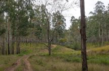 Port Macquarie Scenic Tour to the Hastings Hinterland region