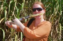 Higuey City Tour Half Day Cultural Experience From Punta Cana