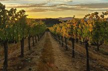 Discover Napa Valley’s Hidden Gems with Local Sommelière 