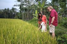 Yogyakarta Countryside Walking Tour