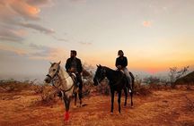 1 Hour Horseback Ride in Guanajuato