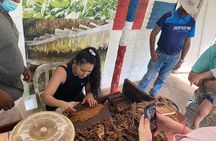 Half Day Safari Adventure Tour in Punta Cana