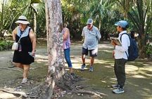 PRIVATE TOUR Chacchoben Mayan Ruins from Costa Maya