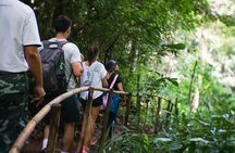 Inthanon National Park Tour with Soft Hike at Pha Dok Siew Trail