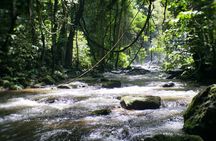 Inthanon National Park Tour with Soft Hike at Pha Dok Siew Trail