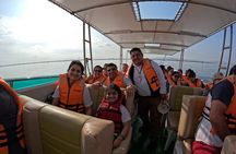 Ballestas Islands and Paracas Reserve Expedition from Ica group