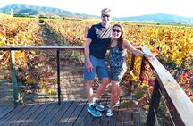  Casablanca Valley & Casa del Bosque - 3 Vineyards - Full day 