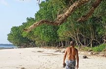 3-Day Ujung Kulon National Park Private Guided Tour