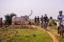 The Mekong Island Biking Tour and Lunch with farmers