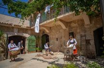 Back to the Roots - Ancient Island Interactive Experience