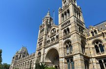London Natural History Museum with Dinosaurs Gallery Private Tour for Kids