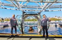 Harry Potter Walking Tour, River Cruise and London Eye Tickets