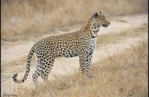 Private 3 Day Tour to Serengeti National Park