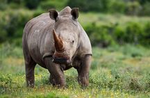 Private 3 Day Tour to Serengeti National Park