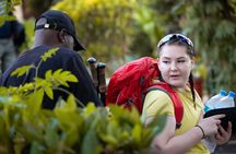 Big Five Luxury 7 Days Safari Tour in Arusha 