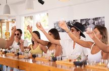 3-Hour Small-Group Mezcal and Tequila Tasting activity from Cozumel