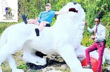 Whole-Day Barbados Private Guided Customized Island Tours