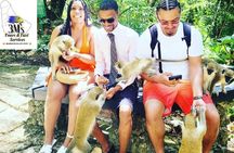 Full Day Private Customized Island Tours