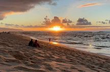 Private Full-Day Circle Island Guided Small-Group up to 6 (Se habla Español)
