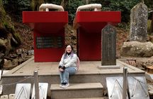 Forest Bathing in Temple and Enjoy onsen with healing power