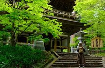 Forest Bathing in Temple and Enjoy onsen with healing power
