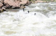 Royal Gorge Rafting Adventure