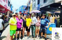 Half-Day Barbados Private Guided Customized Island Tours