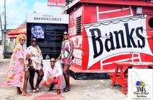 Half-Day Barbados Private Guided Customized Island Tours
