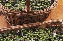 Olive Oil, Cheese, and Wine Tasting with Local Expert