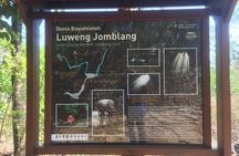 Kediwung Sunrise, Jomblang Cave, Timang Gondola Beach Day Tour