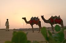 2 Days 2 Night Camel Safari