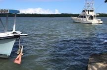 Luminous lagoon Dark night Tour from Ocho Rios and Runaway Bay Hotels 